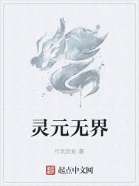 灵元无界笔趣阁